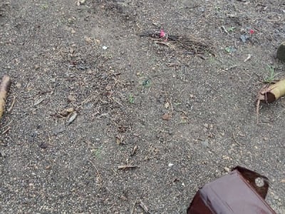 4 Bigha Open Land for Sale Jamjodhpur 4 Bigha Open Land for Sale Jamjodhpur