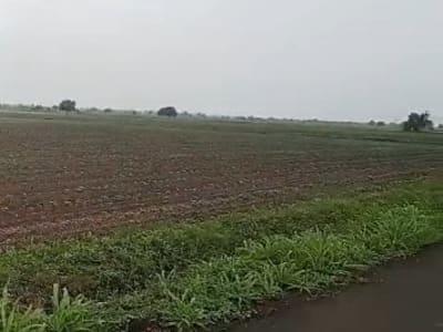 Road Touch Agriculture Land Savarkundla Road Touch Agriculture Land Savarkundla