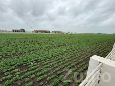 Vadala Fatak Roadside Plot Land for Sale Vadala Fatak Roadside Plot Land for Sale