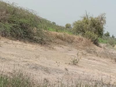 5 Vigha Road Touch Agriculture Land 5 Vigha Road Touch Agriculture Land