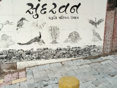 Green Surroundings Land Plot in Dhoraji Green Surroundings Land Plot in Dhoraji