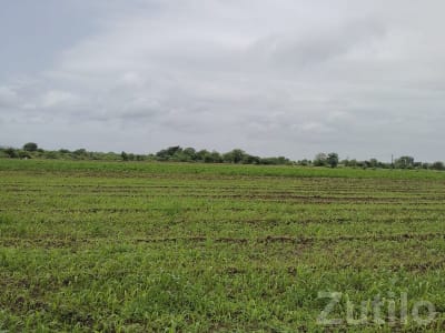 Fertile Green Agricultural Land Plot Fertile Green Agricultural Land Plot