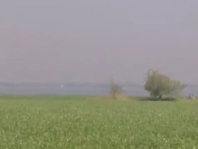 Fertile Agricultural Land in Gondal Fertile Agricultural Land in Gondal