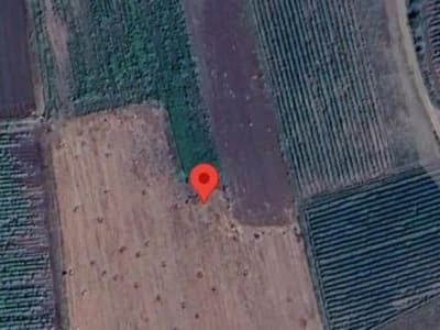 10 Vigha Fertile Agricultural Land Plot 10 Vigha Fertile Agricultural Land Plot