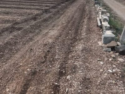 Ranavav Fertile Agricultural Land Deal Ranavav Fertile Agricultural Land Deal