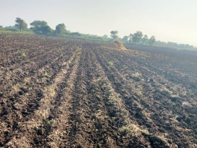 Fertile Agriculture Land in Rajkot Fertile Agriculture Land in Rajkot