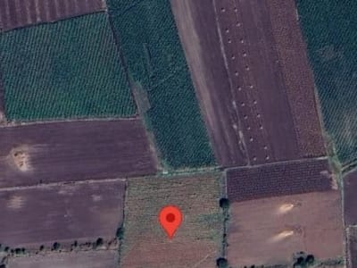 9 Vigha Fertile Agriculture Land Manavadar 9 Vigha Fertile Agriculture Land Manavadar