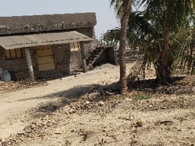 5 Bigha Agriculture Land in Mangrol 5 Bigha Agriculture Land in Mangrol