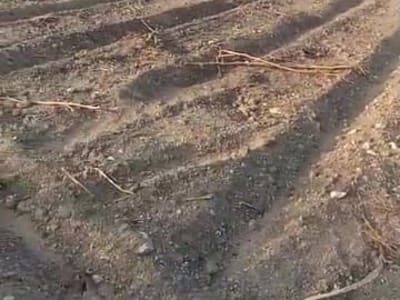 17 Vigha Farm Land with Well Connection 17 Vigha Farm Land with Well Connection