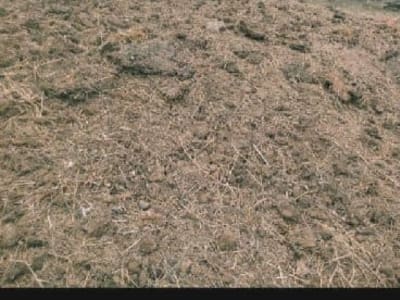 Well-Rotted Organic Manure for Farms Well-Rotted Organic Manure for Farms