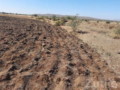 Kalyanpur Agricultural Land for Sale Kalyanpur Agricultural Land for Sale