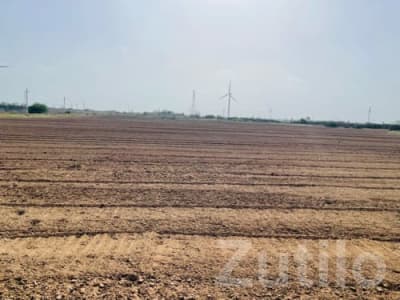 12 Vigha Irrigated Farmland for Sale 12 Vigha Irrigated Farmland for Sale