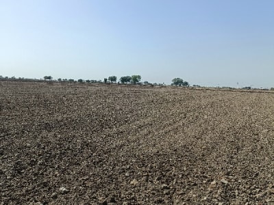 14.5 Vigha Open Agricultural Land Plot 14.5 Vigha Open Agricultural Land Plot