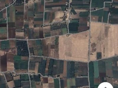 9 Bigha Agriculture Land Near Una 9 Bigha Agriculture Land Near Una