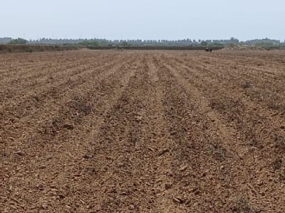 Fertile Agricultural Land Wanted Fertile Agricultural Land Wanted