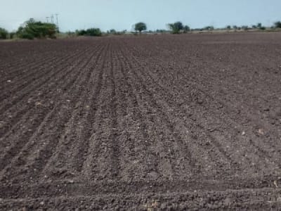 Fertile Agricultural Land for Sale, Rajkot Fertile Agricultural Land for Sale, Rajkot