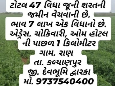 Fertile Bauxite Farmland Plot Kalyanpur Fertile Bauxite Farmland Plot Kalyanpur