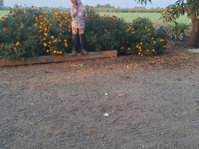 Talala Agricultural Land with Garden View Talala Agricultural Land with Garden View