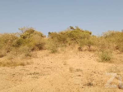 28 Vigha Open Land in Junisar, Jamjodhpur 28 Vigha Open Land in Junisar, Jamjodhpur