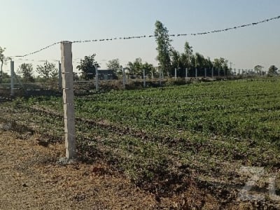 Fenced Agricultural Plot 2.5 Rod Tach Land Fenced Agricultural Plot 2.5 Rod Tach Land