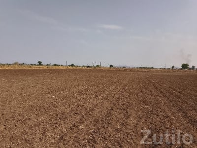 7 Vigha Fertile Open Agricultural Land 7 Vigha Fertile Open Agricultural Land