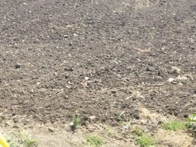 Fertile Agricultural Land on Lease, Keshod Fertile Agricultural Land on Lease, Keshod