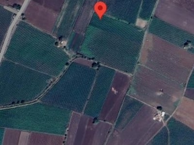 5 Vigha Agricultural Land Manavadar 5 Vigha Agricultural Land Manavadar