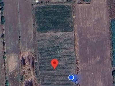 12 Vigha Fertile Agricultural Land Plot 12 Vigha Fertile Agricultural Land Plot