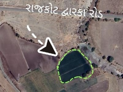 Road Touch Farmland Plot on Rajkot Dwarka Rd Road Touch Farmland Plot on Rajkot Dwarka Rd