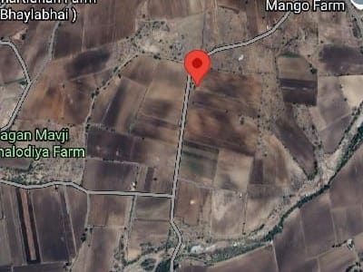 Verad 25 Bigha Agricultural Land