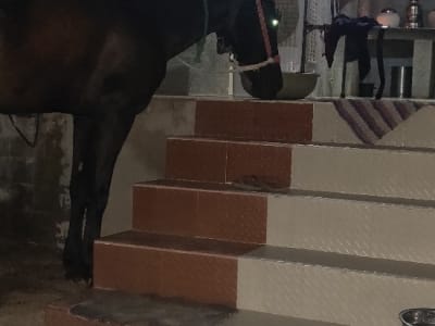 2 BHK House for Sale in Botad 2 BHK House for Sale in Botad