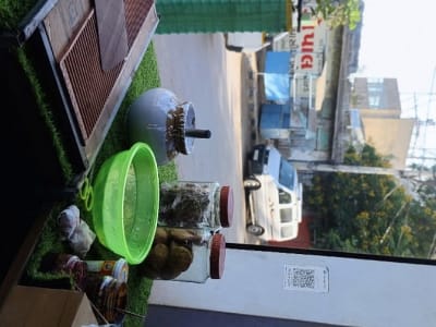 Running Paan Shop for Rent in Lalpur Running Paan Shop for Rent in Lalpur