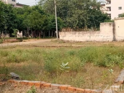 Residential Plot for Sale in Harij Residential Plot for Sale in Harij