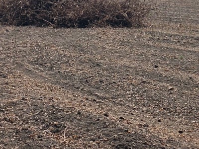 Agricultural Land for Sale in Khadiya Agricultural Land for Sale in Khadiya