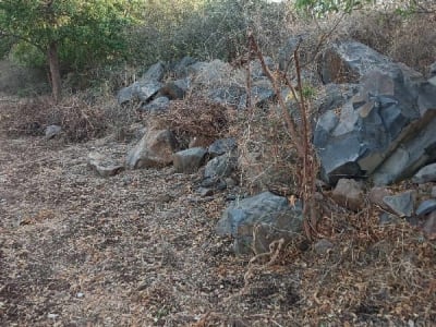 Rocky Land Plot for Sale near Jamnagar Rocky Land Plot for Sale near Jamnagar