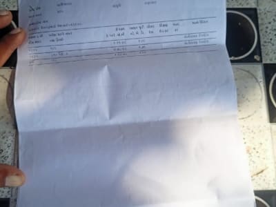 10 Vigha Agricultural Land with Mango Farm 10 Vigha Agricultural Land with Mango Farm