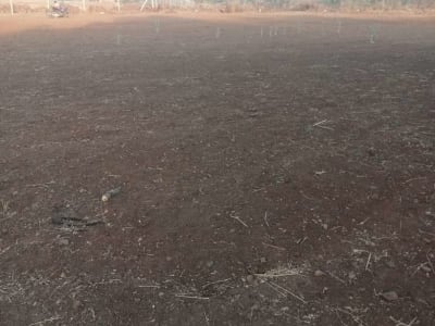 25 Vigha Agricultural Land for Sale 25 Vigha Agricultural Land for Sale