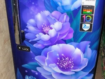Single Door Refrigerator with Floral Design Single Door Refrigerator with Floral Design