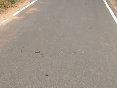 9 to 10 Vigha Road Touch Land with RCC Wall 9 to 10 Vigha Road Touch Land with RCC Wall