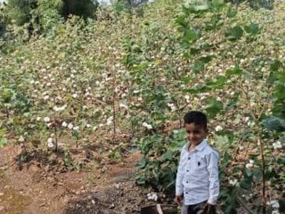 12.30 Vigha Road Touch Agricultural Land 12.30 Vigha Road Touch Agricultural Land