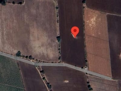 20 Vigha Agricultural Land in Jetpar 20 Vigha Agricultural Land in Jetpar