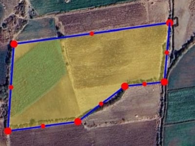 10.5 Vigha Agricultural Land for Sale 10.5 Vigha Agricultural Land for Sale