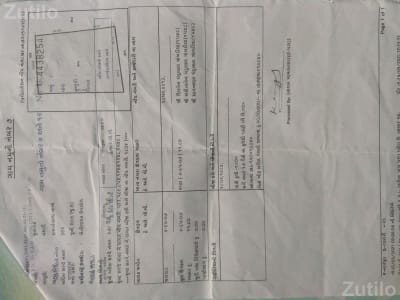 15 Bigha Orchard Land with Mango and Chikoo Trees 15 Bigha Orchard Land with Mango and Chikoo Trees