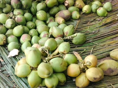 kheti kam mate lebour kheti kam mate lebour