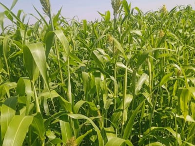 રાજકોટ જિલામા રાજકોટ જિલામા