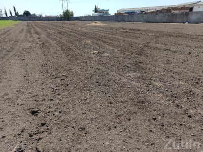 4 Bigha Open Land for Rent with Labour Quarter 4 Bigha Open Land for Rent with Labour Quarter