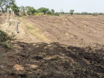 Agricultural Land 8 Vigha 5 Guntha with Well Agricultural Land 8 Vigha 5 Guntha with Well