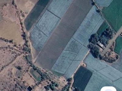 13 Vigha Agricultural Land for Sale 13 Vigha Agricultural Land for Sale