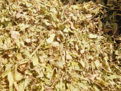 15 Vigha Agricultural Land Plot for Sale 15 Vigha Agricultural Land Plot for Sale