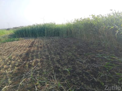 7 Bigha Agricultural Land Plot for Sale 7 Bigha Agricultural Land Plot for Sale